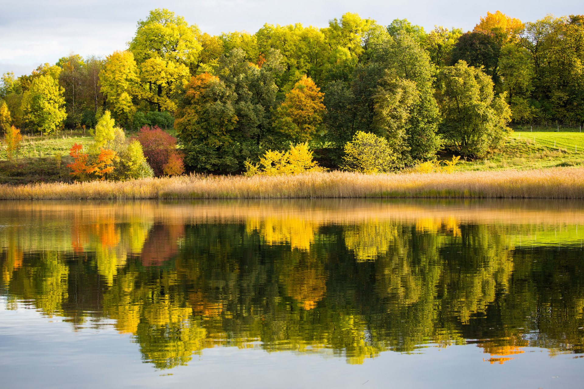 wald see reflexion herbst