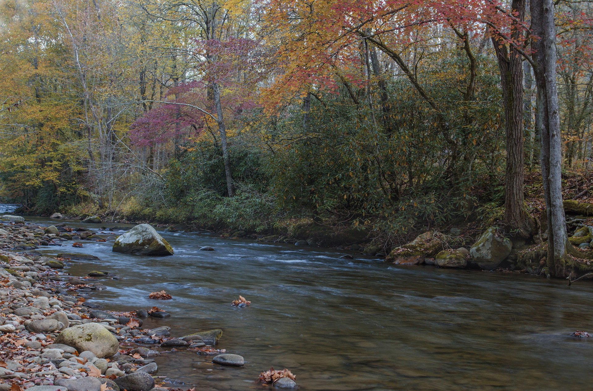 herbst wald fluss steine