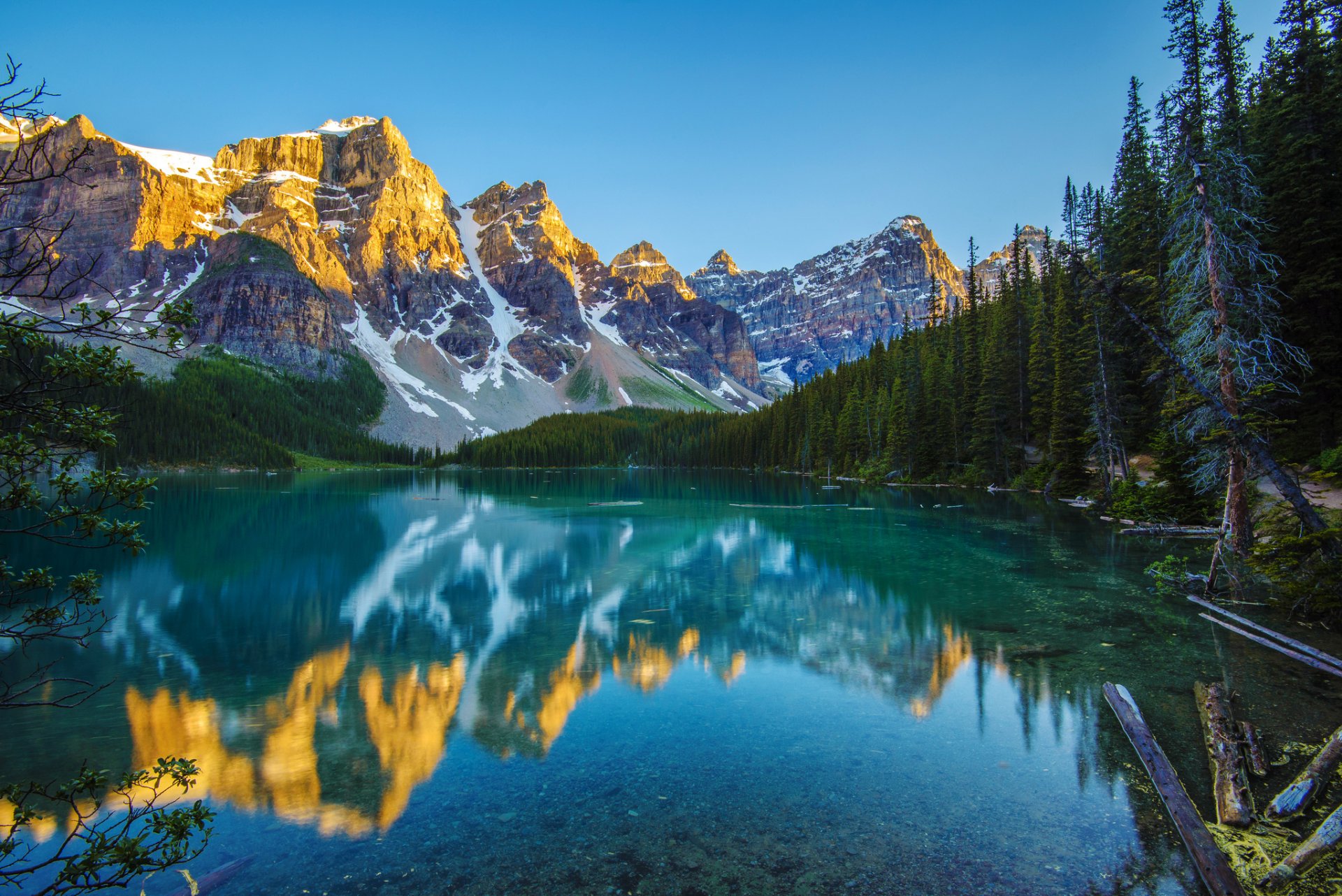 mountain forest lake reflection morning