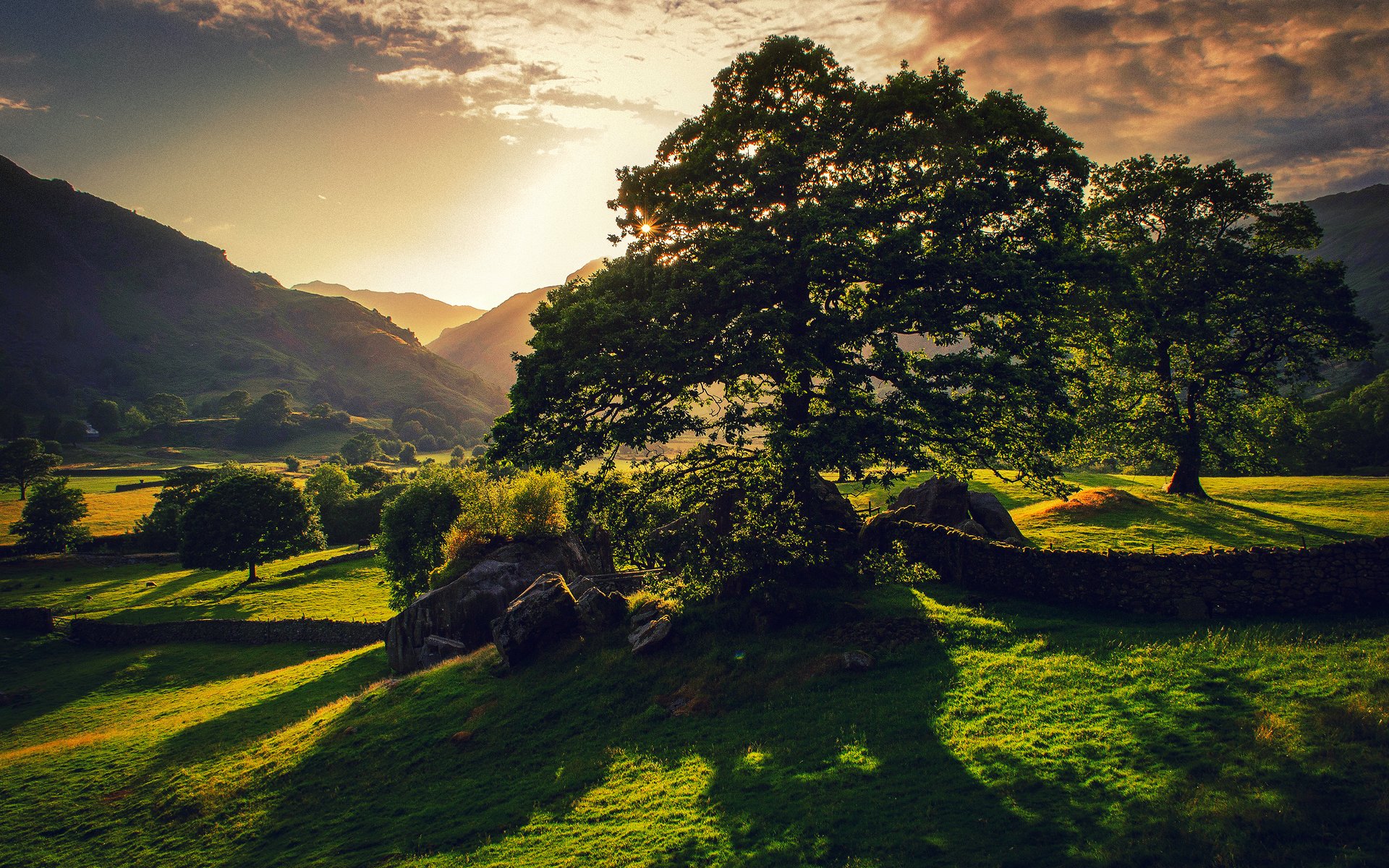 natura gran bretagna legno sole verde estate