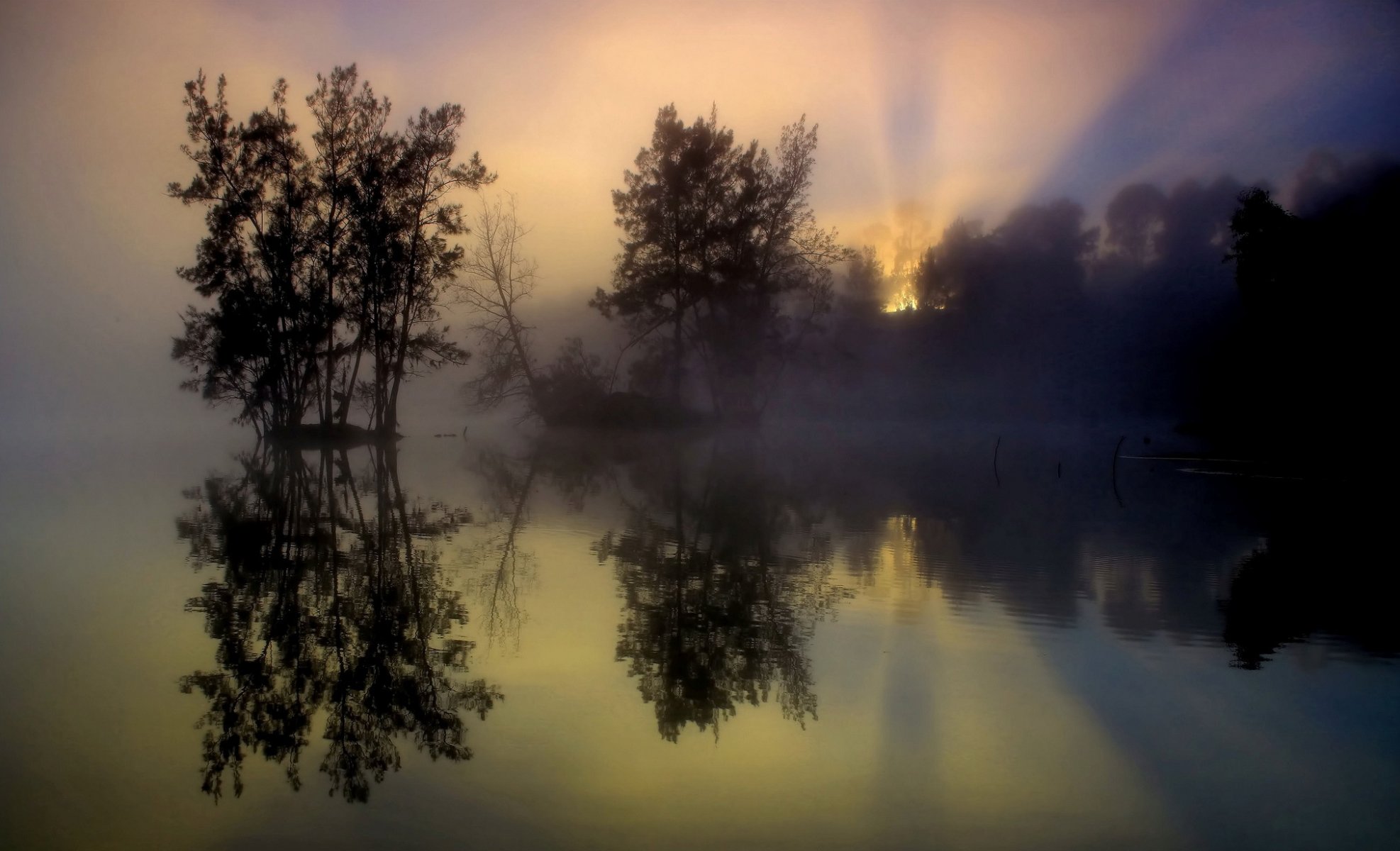 brouillard arbres lac réflexion matin lever du soleil