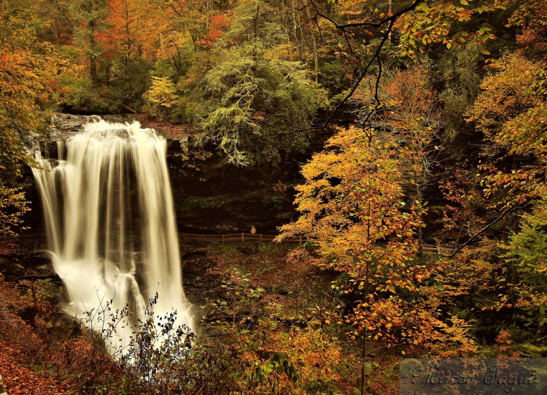 herbst wald fluss wasserfall