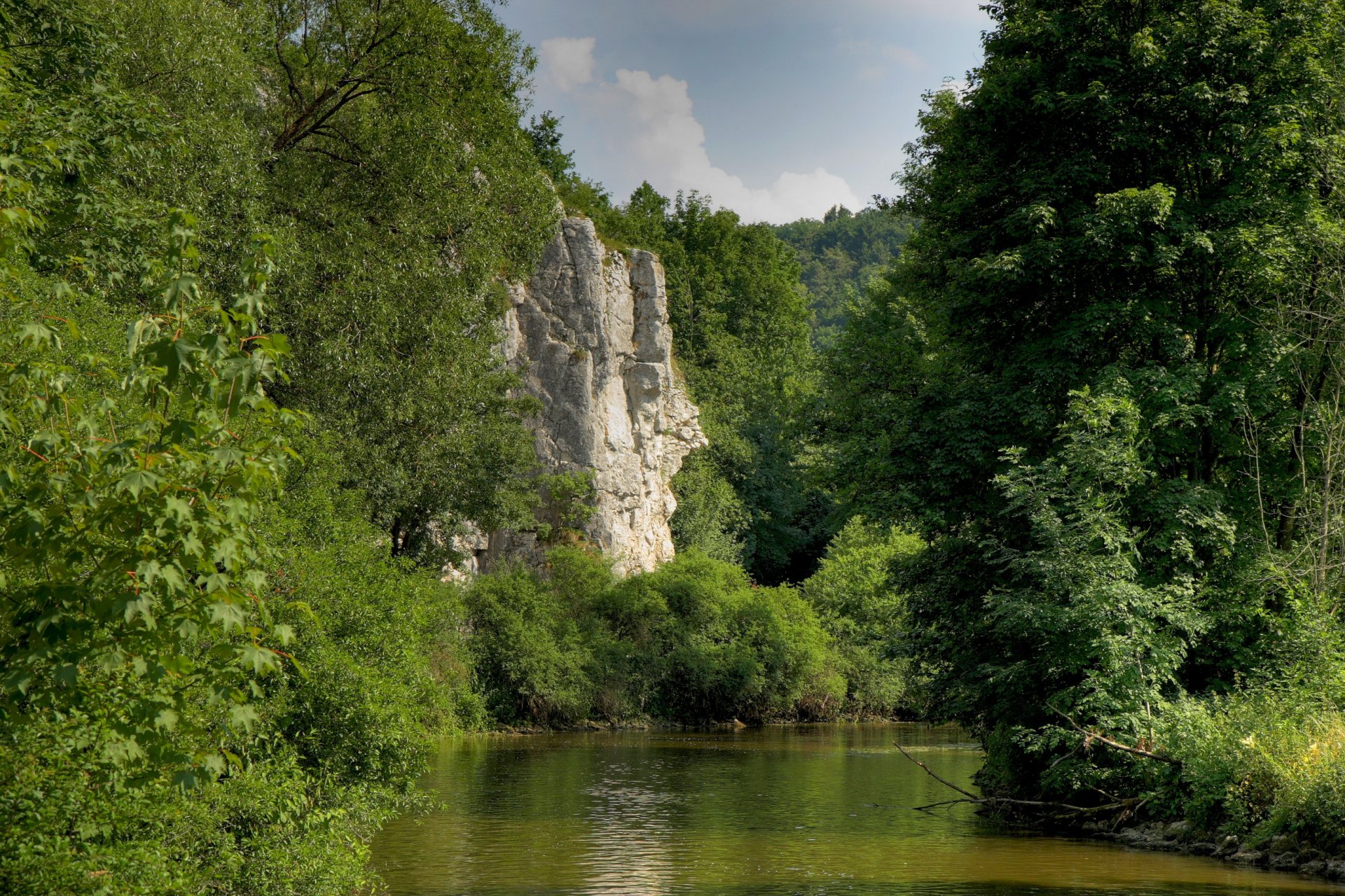 niemcy bawaria góra las drzewa rzeka