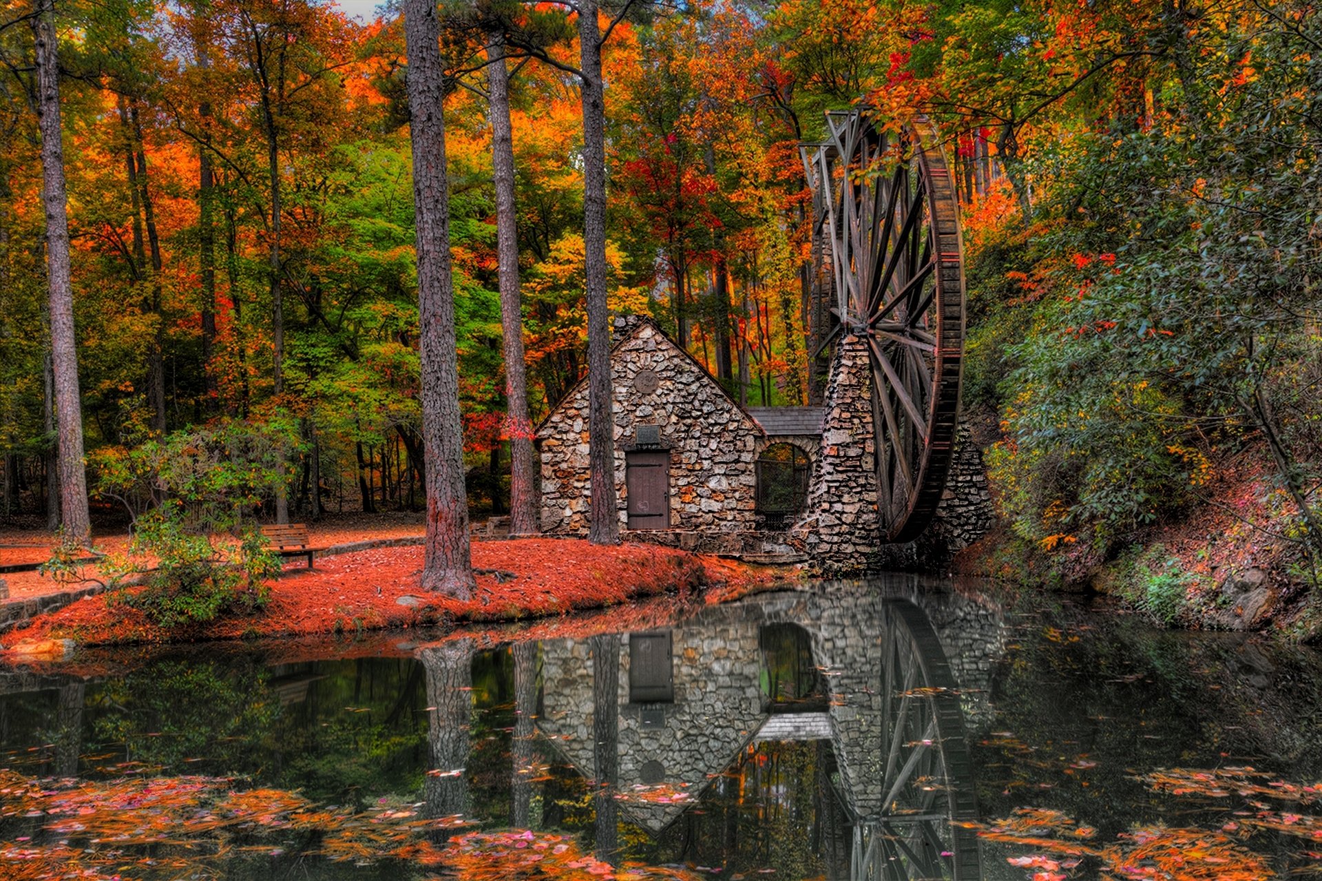 feuilles moulin à eau moulin parc ruelle arbres forêt automne marche hdr nature rivière eau vue chute vue sentier