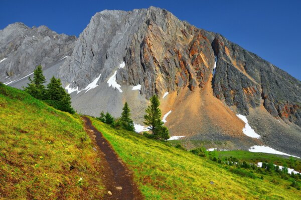 Ein Sommerpfad in die Berge