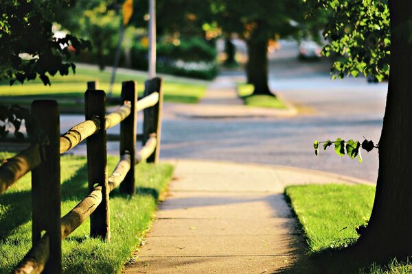 The freshness of nature in the city limits