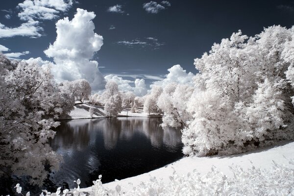 Bäume im Schnee in der Nähe des Flusses