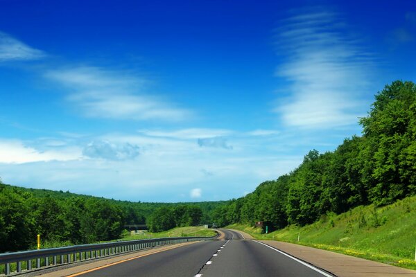 The track is surrounded by forest and greenery on a blue sky background