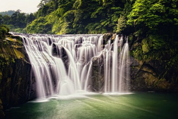 Cascade magique dans la forêt à Taiwan