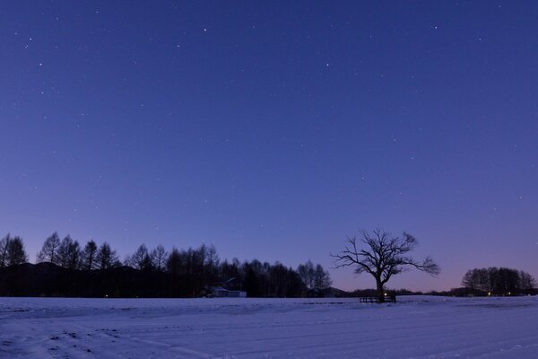 Cielo de Sergeeva en la noche de invierno, silencio