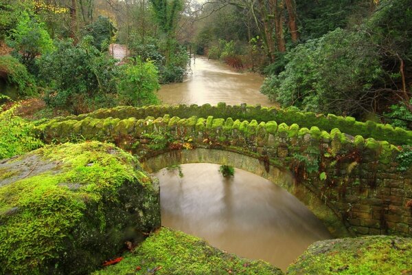 Inghilterra. Ponte sul fiume