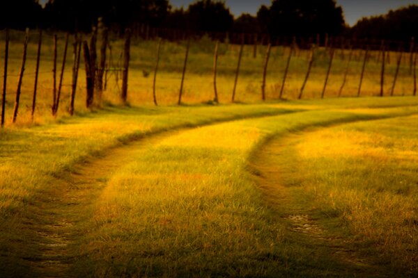 Der Weg führt zurück in die Kindheit