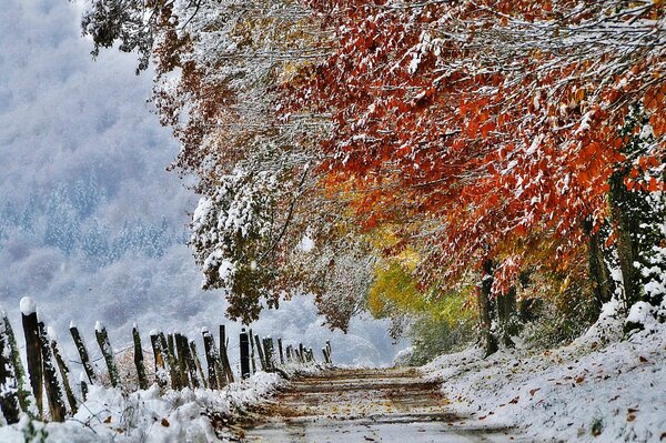 The first autumn snow in France