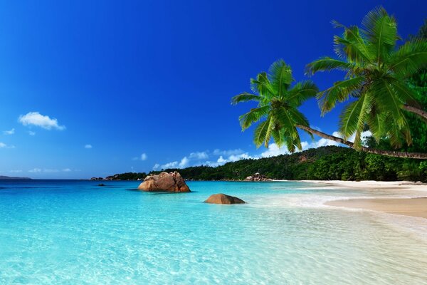 Sandy sea beach on the background of blue sky