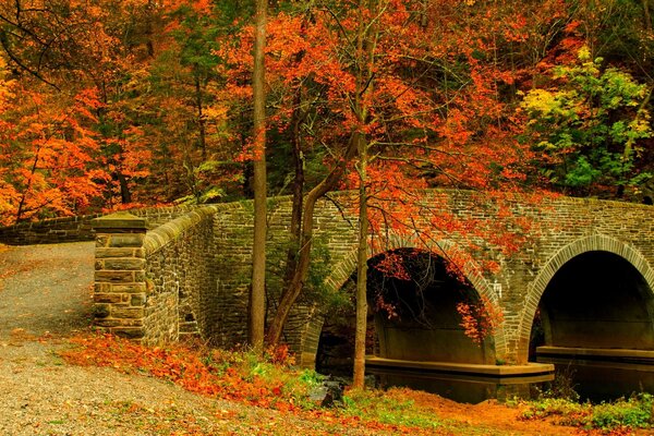 Herbstlandschaft auf der Steinbrücke