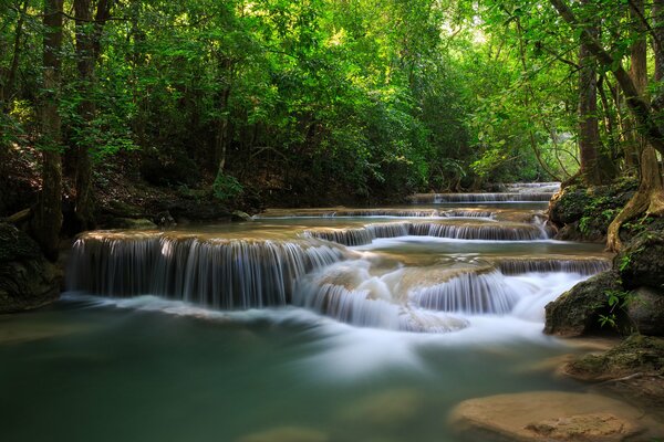 Rivers with waterfalls and a fabulous forest