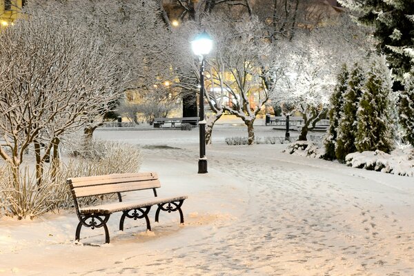 Winter bench, evening snow frost