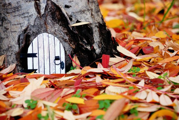 Märchenhaftes Haus im Wald. Herbst