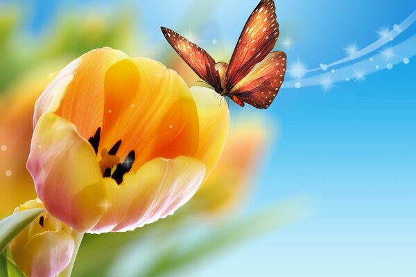 Mottled butterfly on a yellow tulip