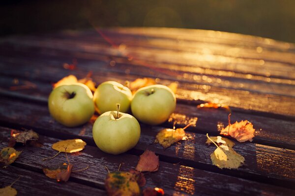 Herbst. Apfelernte auf dem Tisch