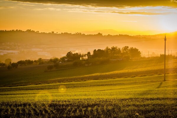 Los brillantes rayos del sol en el campo