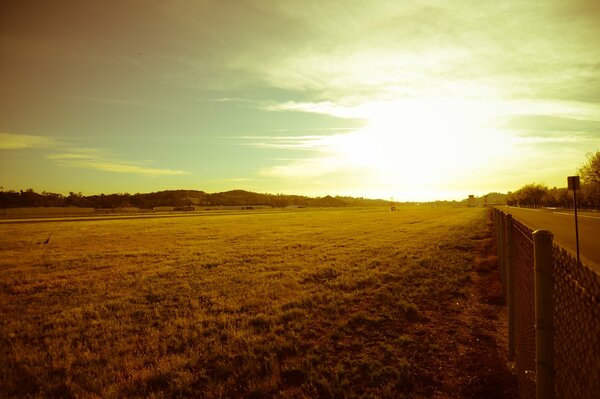 The sun is shining along from a beautiful field