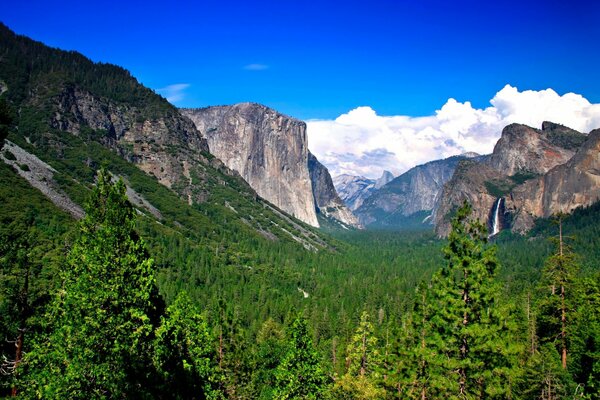 Impresionantes paisajes de montaña y bosque