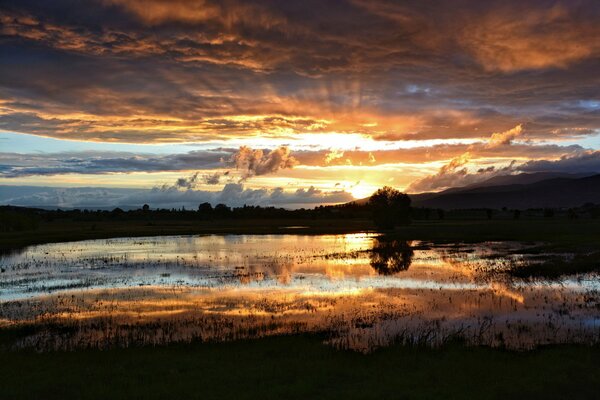 Evening sunset in the silence of nature