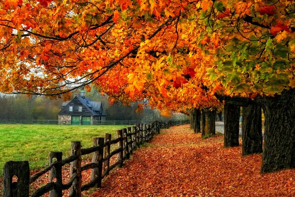 Bunter Herbstlaub-Tropfen