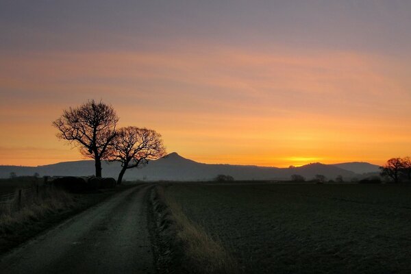 Berge und Bäume auf Sonnenuntergang Hintergrund