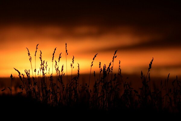 Nacht Sonnenuntergang im Feld