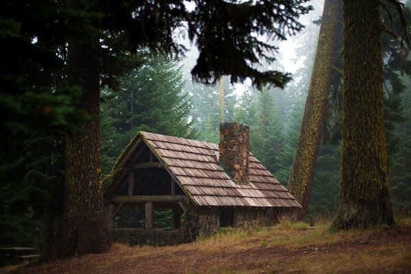 Ein einsames Holzhaus im Wald