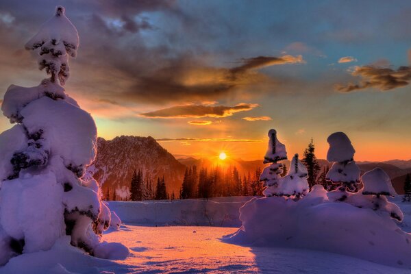 Hermosa puesta de sol en el bosque nevado