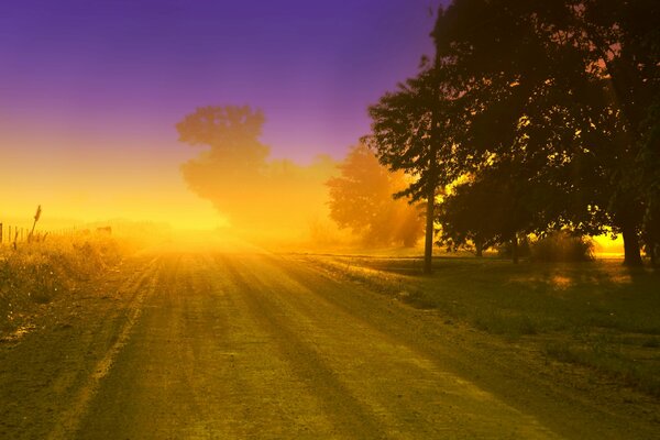 Beautiful sunrise on the background of trees and grass