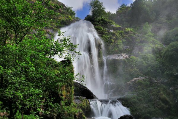 Hermosa cascada en el fondo de los árboles