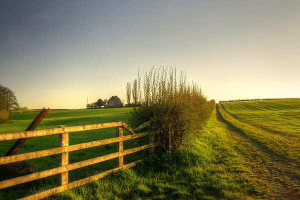 Paesaggio con natura e grande recinzione