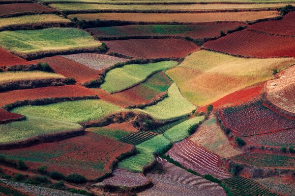 Un sacco di pezzi di tessuto per cucire un grande tappeto