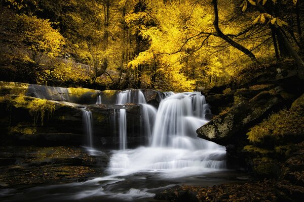 Cascada en el bosque de otoño