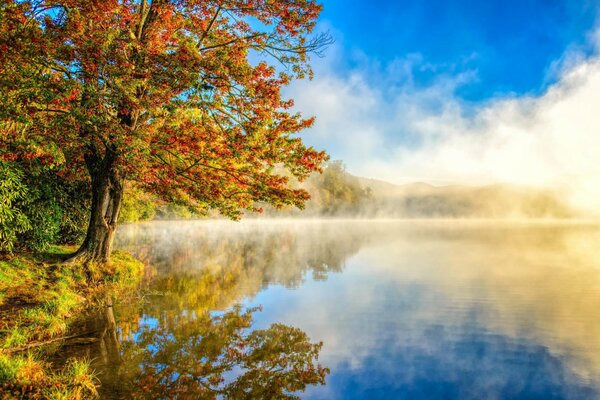 Pintura del bosque de otoño con lago y niebla