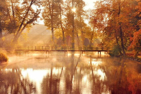 Brücke im Herbstwald am See im Nebel in der Sonne