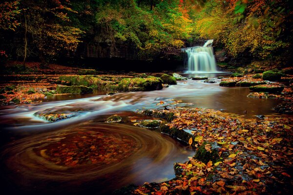 Herbst, Herbst, Laub und Wasserfall Nordengland