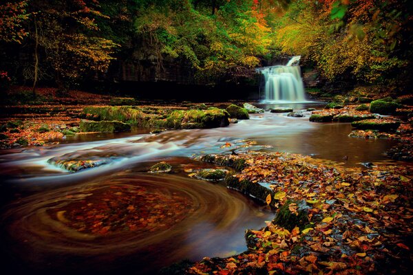 Otoño, otoño, follaje y cascada del Norte de Inglaterra