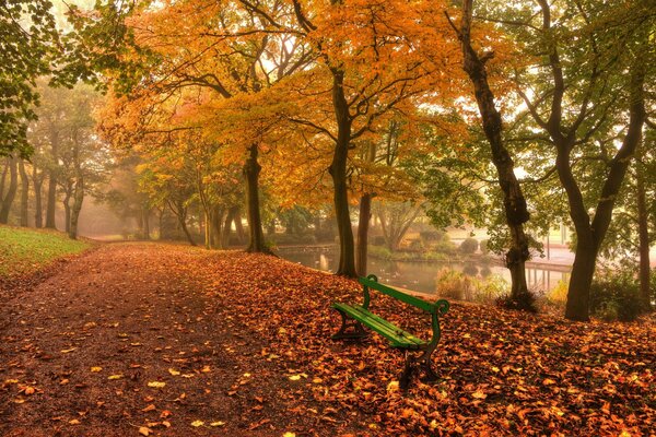 Autumn path in your favorite park