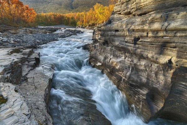 Schweizer Nationalpark Herbstfelsen