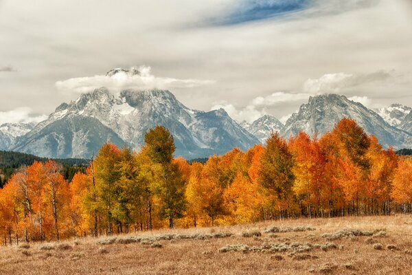 Nature automnale sur le fond des sommets des montagnes