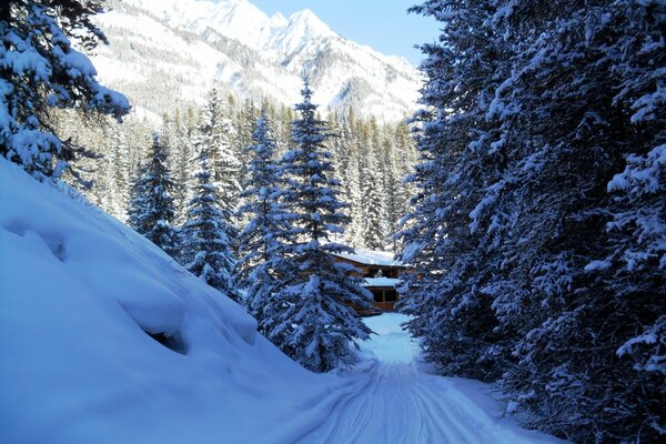 Capanna nella foresta innevata ai piedi delle montagne