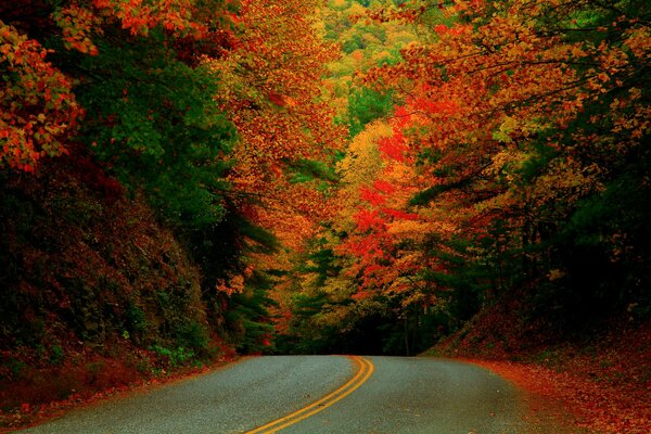 Herbststraße mit bunten Farben