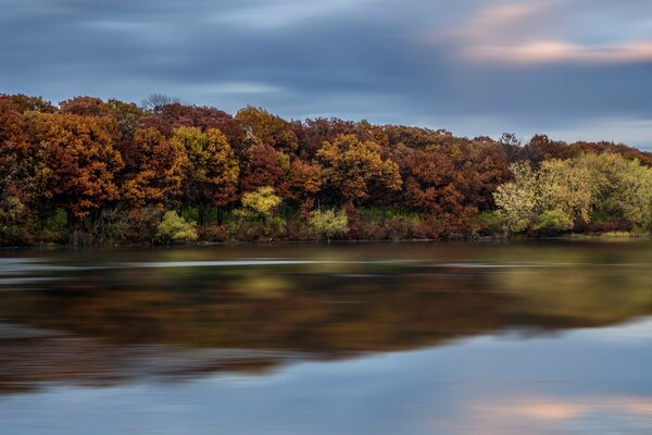 Paysages 3D de la forêt et de la rivière