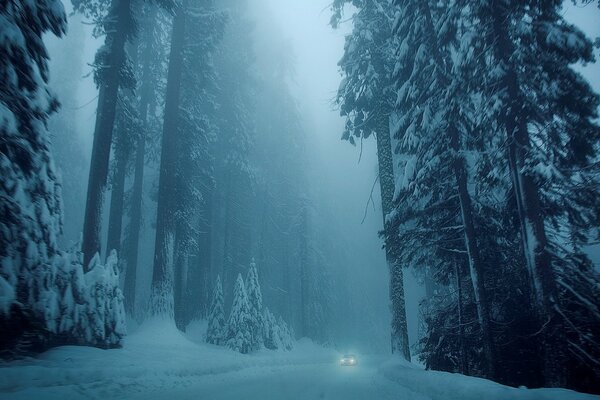 Route de neige blanche d hiver