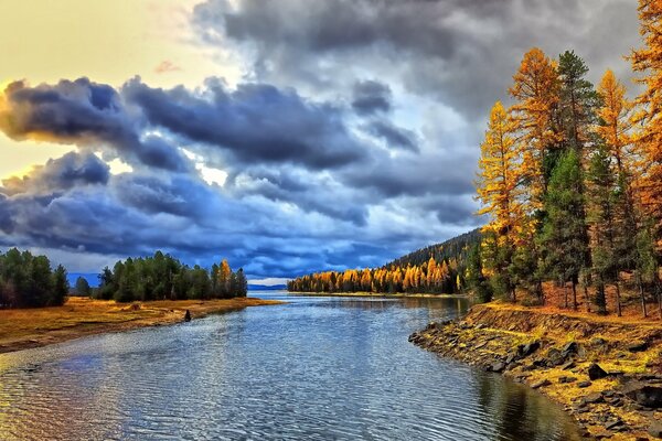 Alba nella foresta autunnale sulla riva del fiume